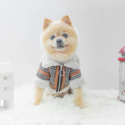 Abrigo Cuadrille para Mascotas - Invierno Cálido con Forro de Lana - Image 18