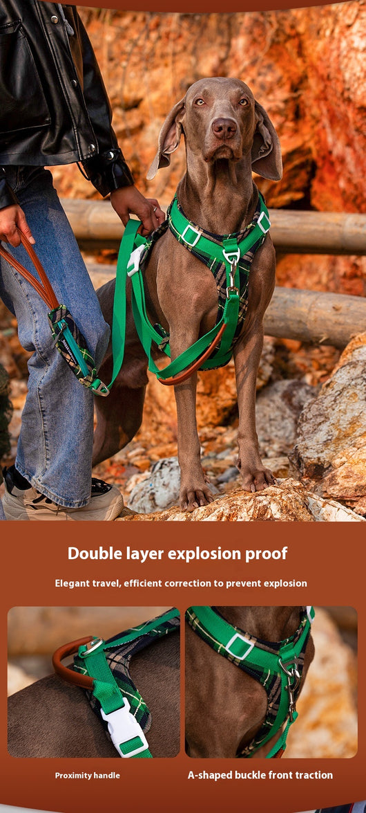 Arnés de Pecho para Perros con Correa de Fácil Colocación - Image 15