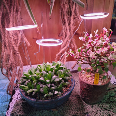 Lámpara LED de Espectro Completo Anillo Angel para Plantas - Cultivo Indoor USB 5V - Image 3