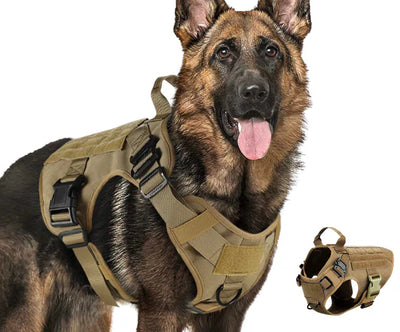 Chaleco de Entrenamiento Deportivo para Mascotas - Image 14