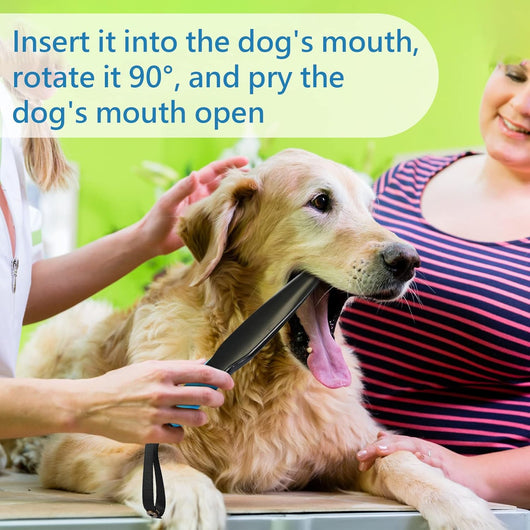 Palo de Entrenamiento y Juguete Masticable para Perros de Todas las Razas - Image 19