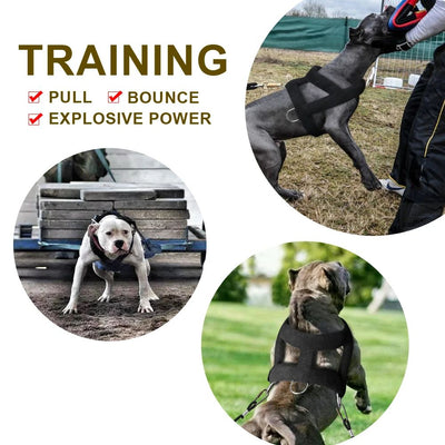 Arnés de Tracción para Perros con Acolchado Suave - Razas Grandes - Image 8