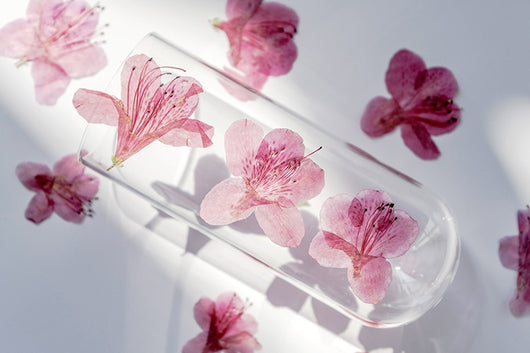 Adorno de Flor de Azalea Deshidratada - Image 11