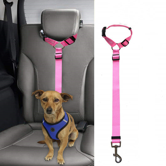 Correa de Seguridad para Mascotas en Auto - Image 15
