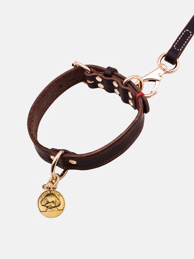 Collar de Cuero Genuino para Perros Medianos y Grandes - Golden Husky - Image 14