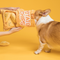Juguete Educativo Interactivo para Perros Pequeños - Resistente a Mordidas