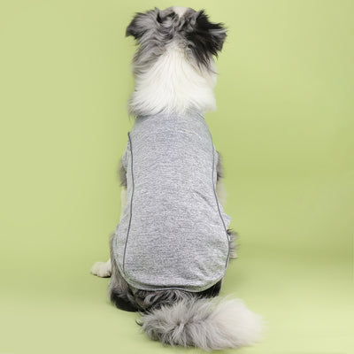Ropa Reflectante para Perros Pequeños - Chaleco Luminoso Teddy, Pomerania y Pug - Image 40