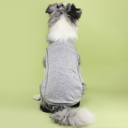 Ropa Reflectante para Perros Pequeños - Chaleco Luminoso Teddy, Pomerania y Pug - Image 40
