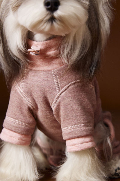Ropa para Perros Teddy Schnauzer Bichon Bicolor Cómoda - Image 30