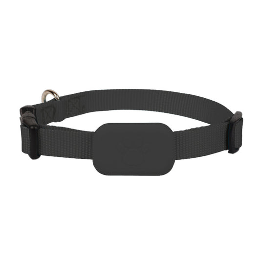 Collar Localizador GPS Anti-pérdida para Mascotas - Image 5