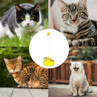 Tabby cat playing with a yellow suction cup cat toy featuring a spring-mounted teaser wand with an orange fur ball. - Image 9