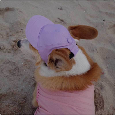 Gorra Protectora Solar Ajustable para Mascotas con Orejas Descubiertas - Image 9