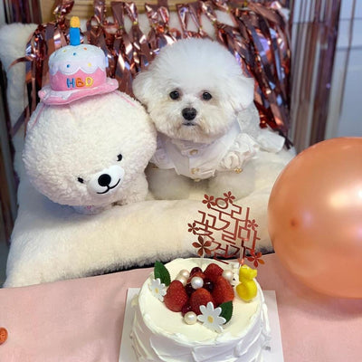 Juguete Peluche Interactivo con Gorro de Cumpleaños para Perros y Gatos - Image 9