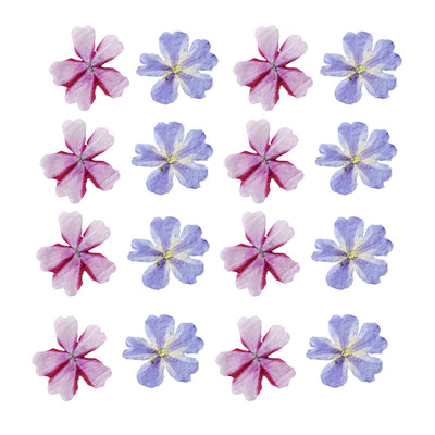 Marcapáginas con Flor de Cerezo Deshidratada - Accesorio Ornamental con Espécimen Botánico - Image 5