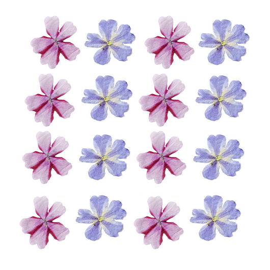 Marcapáginas con Flor de Cerezo Deshidratada - Accesorio Ornamental con Espécimen Botánico - Image 5
