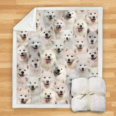 Manta de Franela Estampada para Perros de Diseño Moderno - Image 20