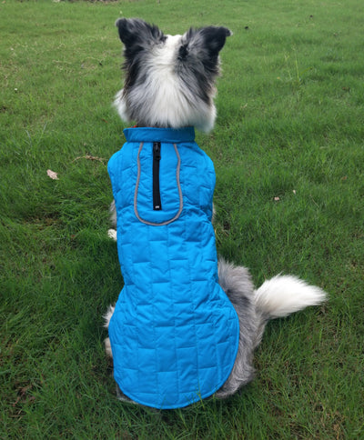 Ropa de Abrigo para Mascotas Cuadros Bicolor Otoño Invierno - Image 14