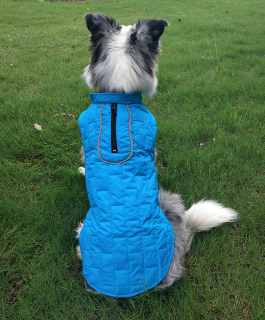 Ropa de Abrigo para Mascotas Cuadros Bicolor Otoño Invierno - Image 14