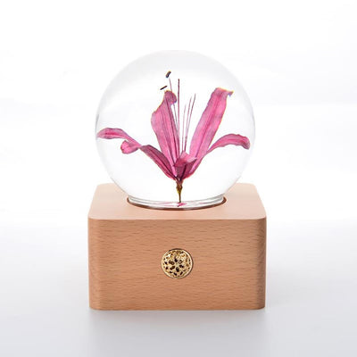 Lámpara Nocturna con Base de Madera y Flores Preservadas - Image 13