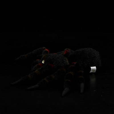 Muñeco Araña Realista - Juguete Educativo de Simulación Animal - Image 10