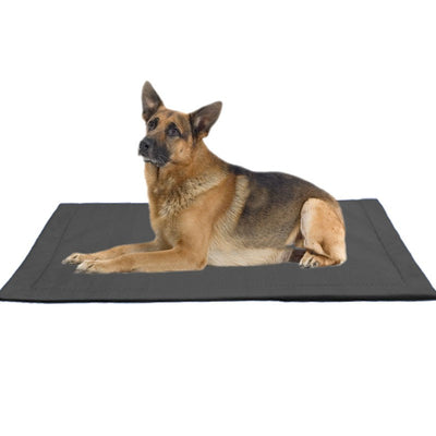 Tapete Resistente a Mordidas para Perros Grandes - Golden Retriever - Image 4