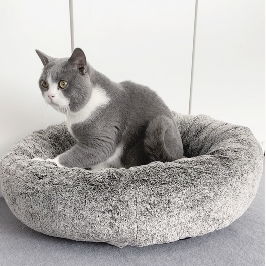 Arena para Gatos Aglomerante Premium - Comodidad Invernal - Image 3