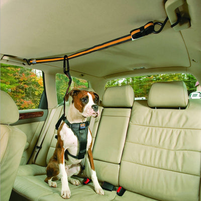 Orange and black pet safety belt installed in a car, securing a boxer dog in the back seat. - Image 4