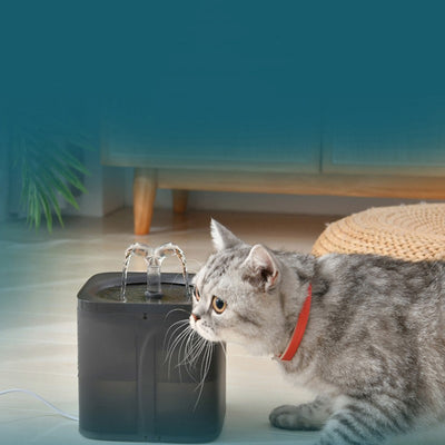 Fuente Automática de Agua para Gatos y Perros - Image 14