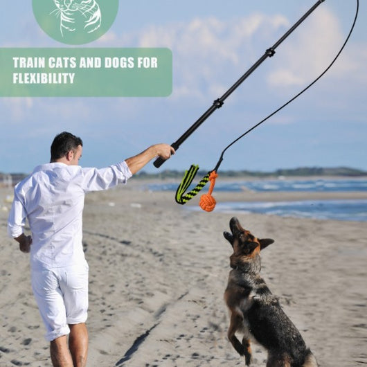 Vara Extensible de Adiestramiento para Perros con Diseño Divertido - Image 4