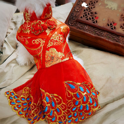 Traje Tradicional Chino Tang para Perros - Estilo Antiguo - Image 8