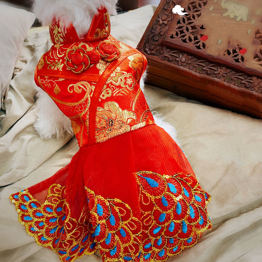 Traje Tradicional Chino Tang para Perros - Estilo Antiguo - Image 8