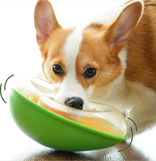 Comedero Antivuelco para Mascotas con Base Estable - Image 6