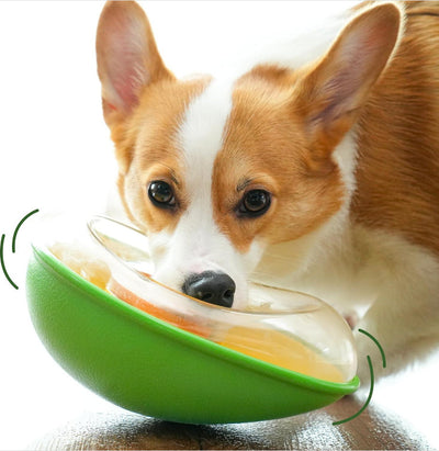 Comedero Antivuelco para Mascotas con Base Estable - Image 6