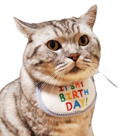 Pañoleta Triangular para Mascotas - Bandana Festiva para Gatos y Perros - Image 8