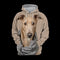 Sudadera Deportiva Estampado Animal para Hombre