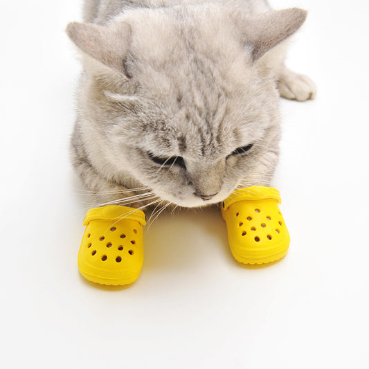 Zapatos de Verano para Perros con Estilo Personalizado