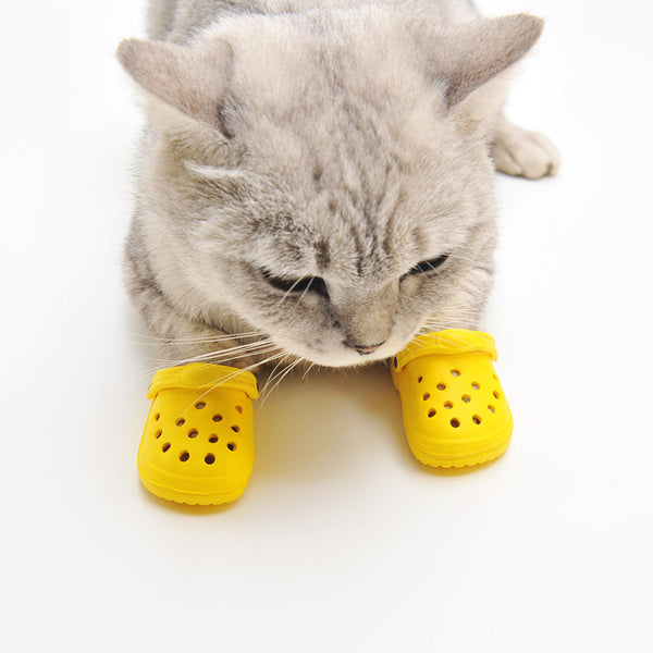 Zapatos de Verano para Perros con Estilo Personalizado