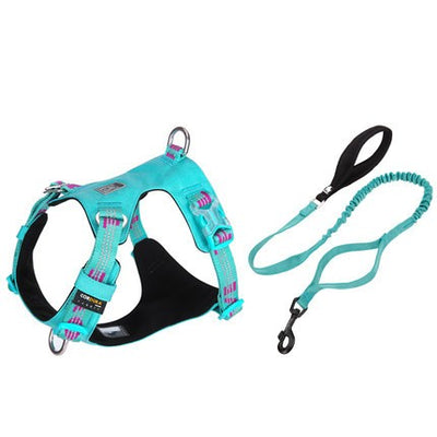 Arnés de Tracción para Perros Grandes con Correa de Paseo - Image 5