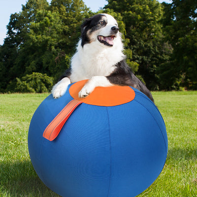 Blue and orange pet training ball with a fabric handle, designed for dogs like Shiba Inu and Corgi. - Image 4