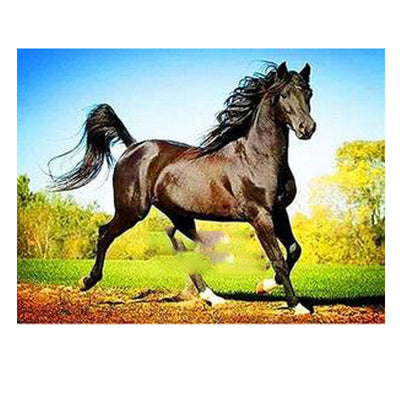 Cuadro de Punto de Cruz Caballo con Diamante - Diseño Geométrico para el Hogar - Image 24