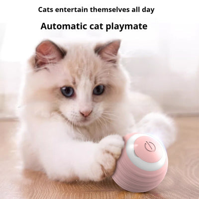 Two pink smart cat toy balls with ridged texture and a power button, offering 60 minutes of play on a full charge. - Image 18