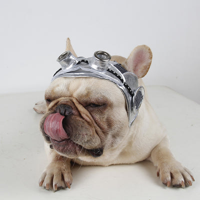 Vestido de Fiesta para Mascotas - Image 11