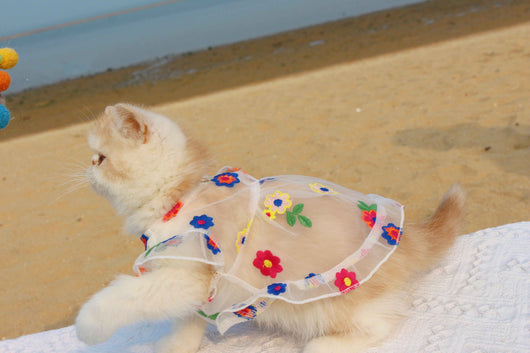 Vestido de Encaje con Bordado Floral para Gatos - Image 10