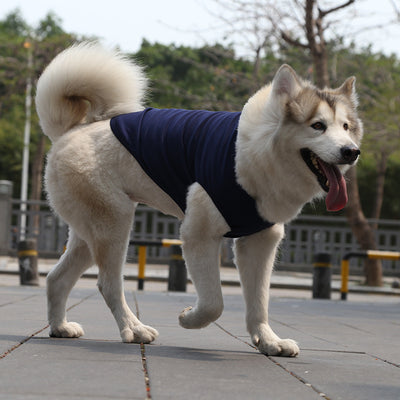 Chaleco y Camiseta para Perro XS-5XL | Ropa Fresca para Perros Pequeños - Image 25