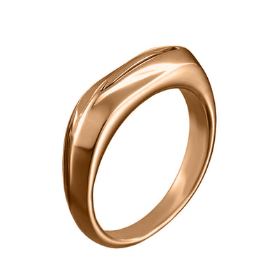 Anillo Multifuncional de Acero Titanio Antimicrobiano - Image 8