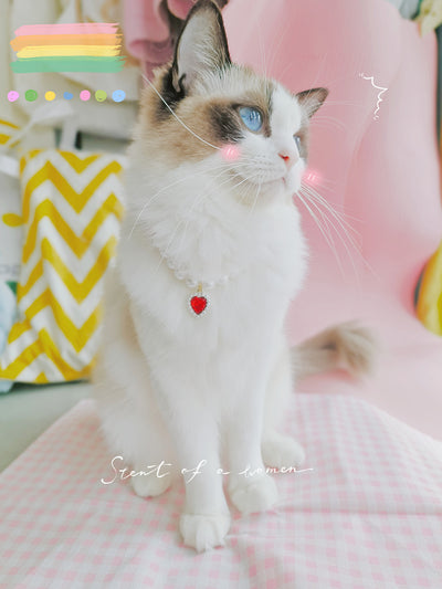 Collar de Cuentas para Gatos Amor y Conexión - Image 15