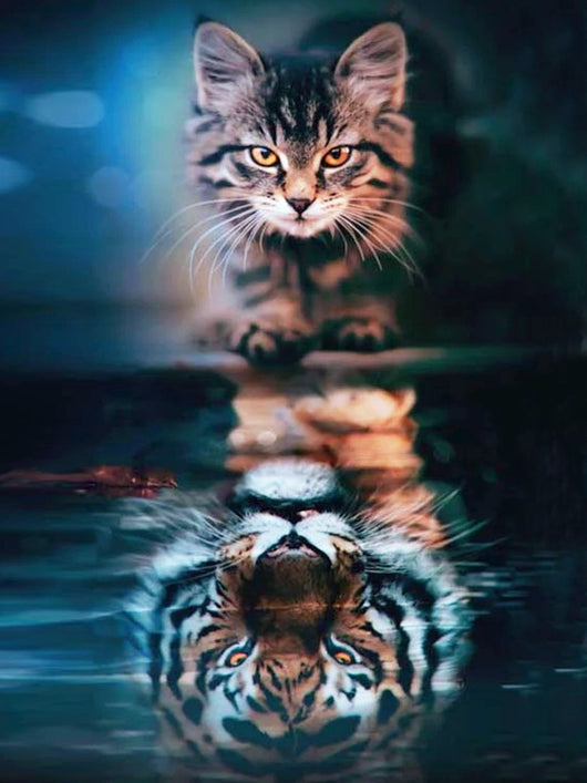 Cuadro de Pintura de Diamantes Gato - Kit de Bordado con Cristales - Image 9