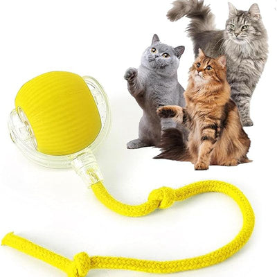 Blue and clear interactive cat ball toy with a rope, shown with three playful cats in the background. - Image 13