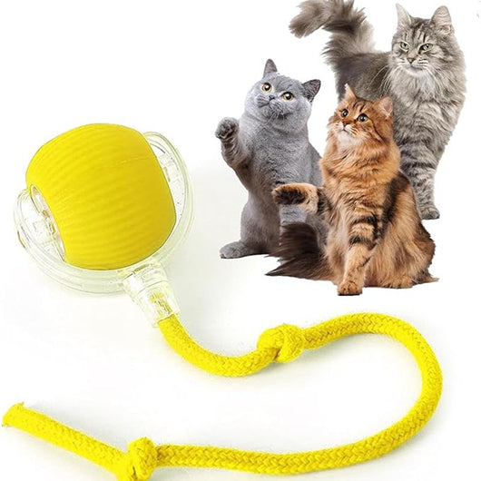 Blue and clear interactive cat ball toy with a rope, shown with three playful cats in the background. - Image 13
