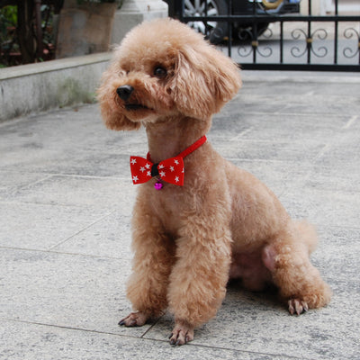 Moños y Accesorios para Mascotas - Image 23